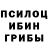 Псилоцибиновые грибы Psilocybine cubensis Vagur Vaino