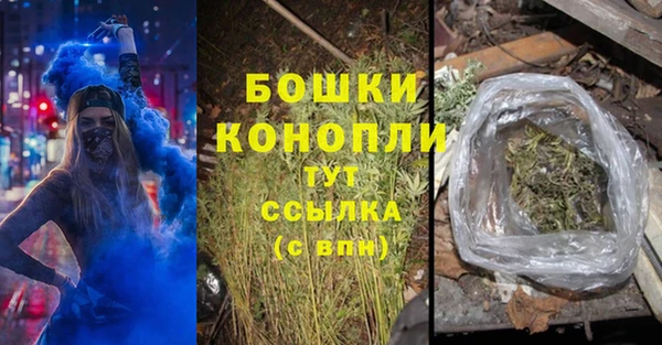 сатива Бронницы