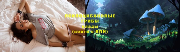 MDMA Premium VHQ Бугульма