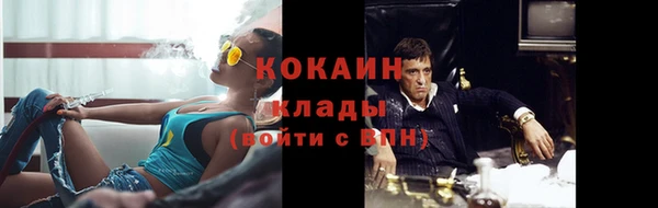 сатива Бронницы