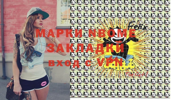 сатива Бронницы