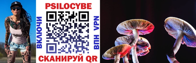 Галлюциногенные грибы MAGIC MUSHROOMS  где продают наркотики  Медногорск 